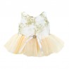 Little Swan Tutu Clothing